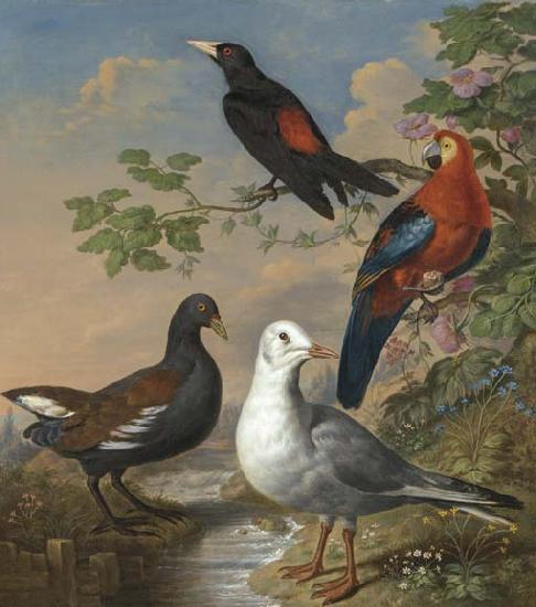 Philip Reinagle A Moorhen, A Gull, A Scarlet Macaw and Red-Rumped A Cacique By a Stream in a Landscape China oil painting art